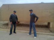 محمود سعدى