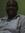 Lawal S...