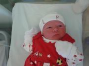 Bernadette O'connor-done