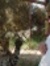 Hisham Ali