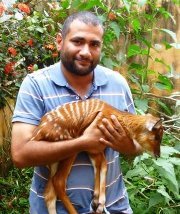 Mohamed Kamel
