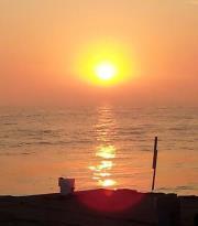 Sheila Cusic-shriver