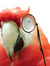 Larry H.