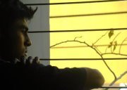 Dipon Majumder