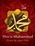 Ahmad H...