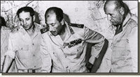 Sayedadel Sayed