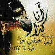 محمد الحكماني