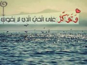 Mujahed Muhmmad