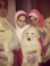 Heba Shaat