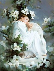Heba Al sayed