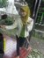 Yanah N...