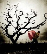 محمد عبدالعظيم