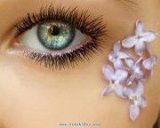 Shereen M. fayek