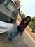 Richa R...