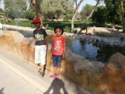 Syed Amir