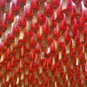 Ming Lu