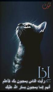 أنفاس المطر