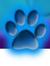 Blue Paws