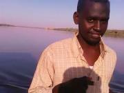 محمد حسن هارون