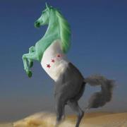 حسام ابو وسام