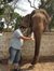 Maruthi...