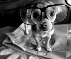 Goodreads profile picture for @share