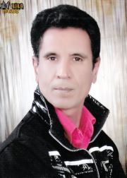 السيد الفضالى