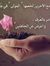 Hesham ...