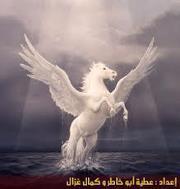 البراق المجنح