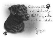 Joyce Lawson