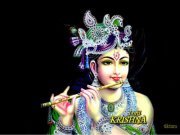 Brijesh Kumar
