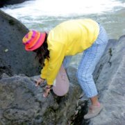 ไข่มุก สุดป้อม