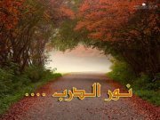 نور الدرب