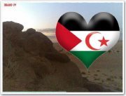 Mohamed Lamin