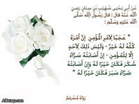 دينا الحريرى