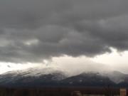 Петя Михайлова