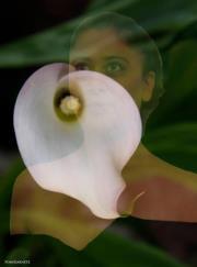 Ushma Patel