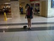 Vicky Linarte