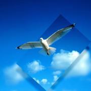 Manjunath Thamminidi