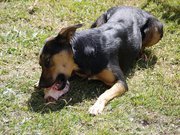 Dannysharon Wrightjackson