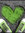 Mere | 6 comments
