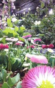 MaryEllen Haggerty Moore