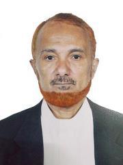 أحمد الشيباني