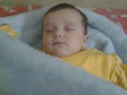 تيمو الخولى