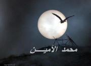 محمد الامين