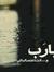 Mohamed El hansy