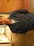 Shubham...