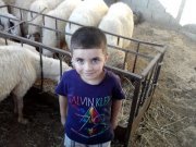 Mohammad Hawamdeh
