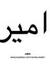 Amir Asif