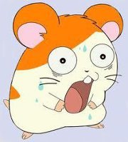 Sachimon Zaemon